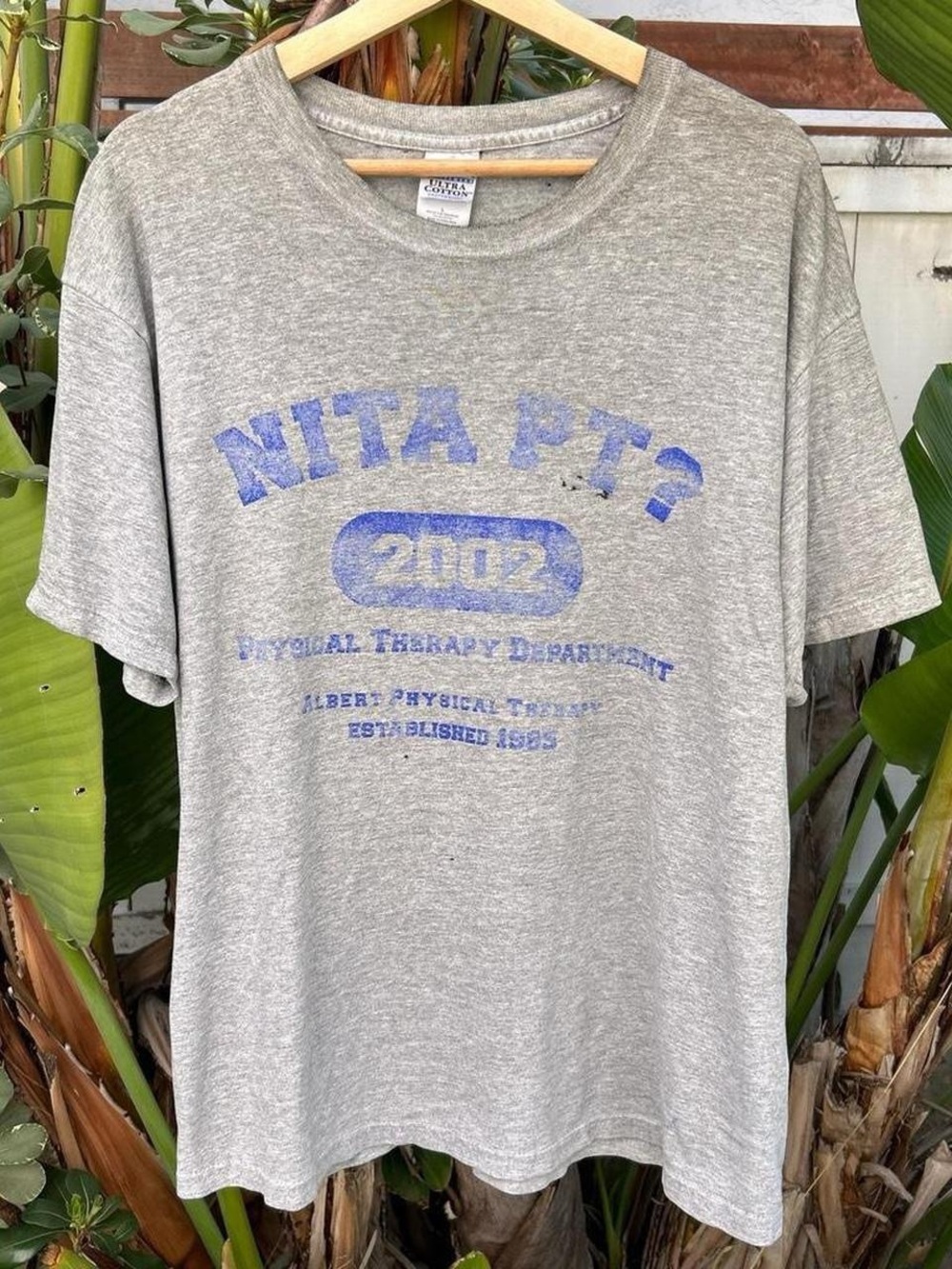 Vintage 2002 NITA PT Physical Therapy T Shirt Gildan Gray Distressed L